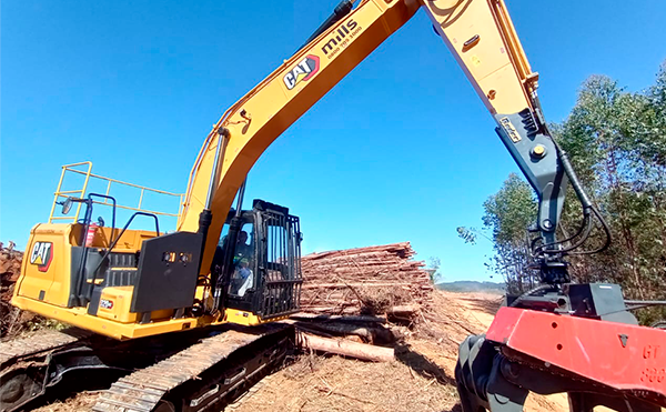 Como a escavadeira pode auxiliar em processos florestais - Mills