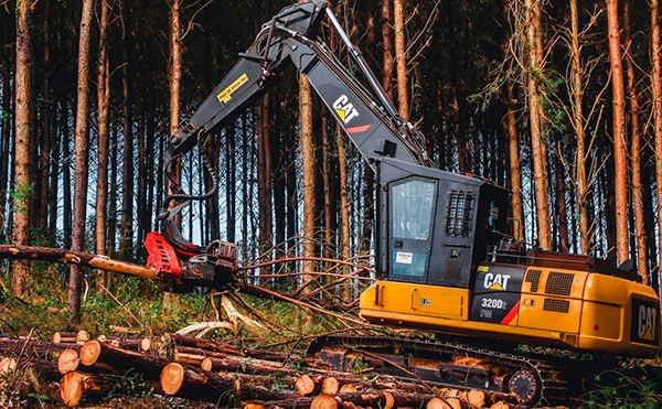 Máquinas Florestais: saiba como escolher os melhores modelos - Mills