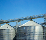 A importância da limpeza de silos no controle de pragas