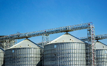 A importância da limpeza de silos no controle de pragas - Mills