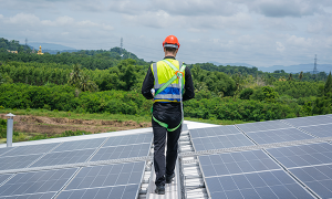 A importância da transição energética para o planeta - Mills