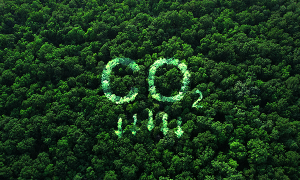 Como reduzir a emissão de CO2 dos seus equipamentos - Mills